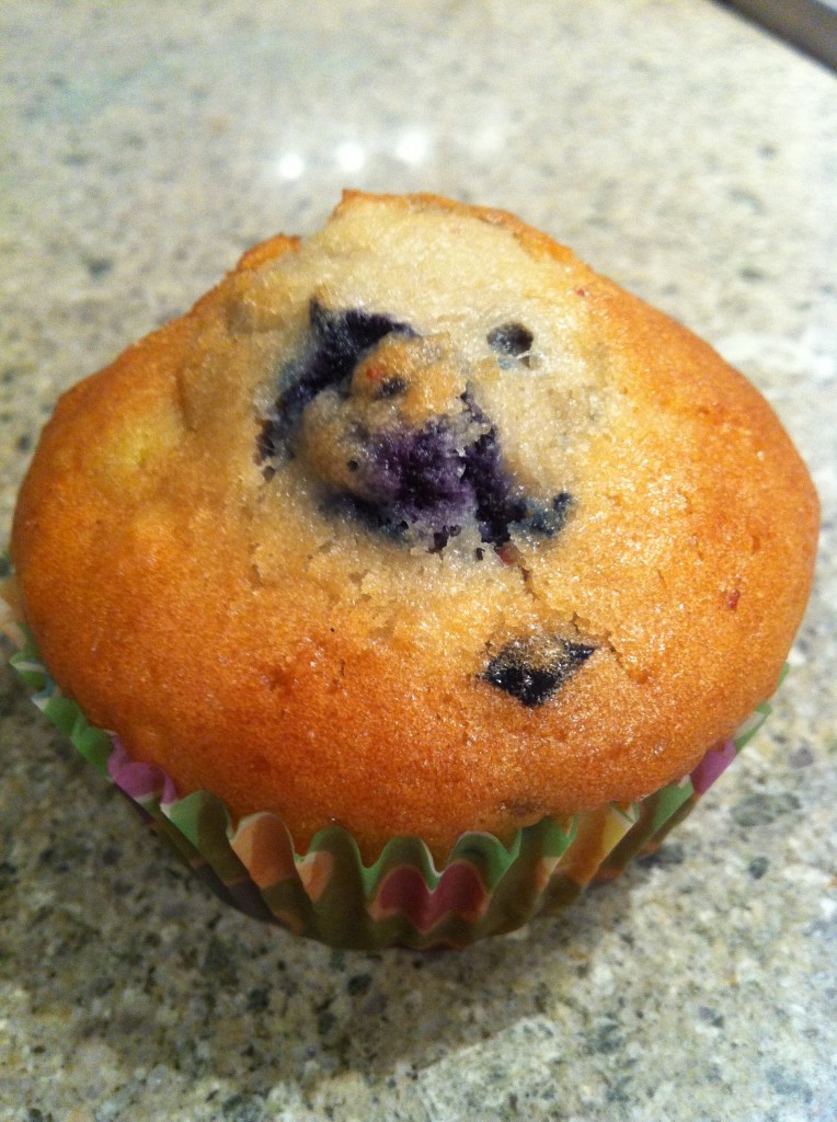 Apple and Blueberry Muffins | Thermovixens